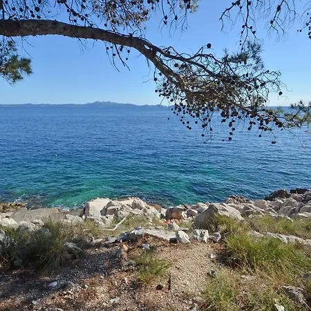 Apartman Surjan