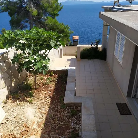Apartman Surjan