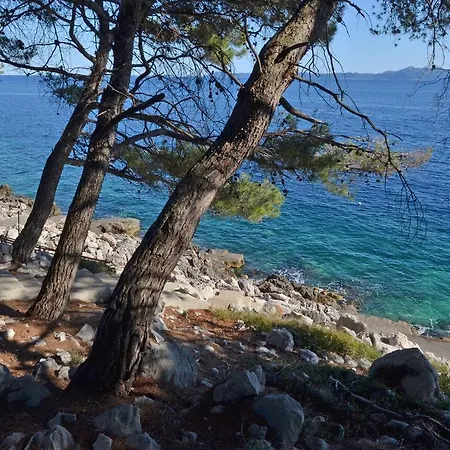 Surjan Apartamento Brna